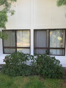 Behzad- Exterior home renovation