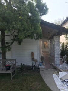 Behzad- Exterior home renovation