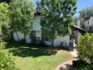Behzad- Exterior home renovation