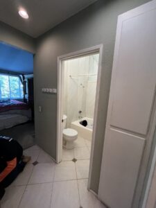 Luxury Bathroom Remodel – Patronite