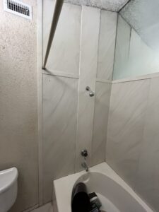 Bathroom Remodel – Patronite