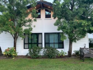 Behzad- Exterior home renovation