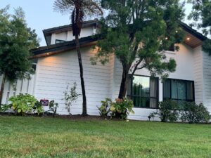 Behzad- Exterior home renovation
