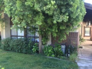 Behzad- Exterior home renovation