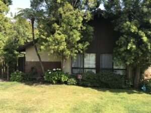 Behzad- Exterior home renovation