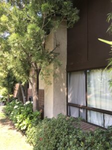 Behzad- Exterior home renovation