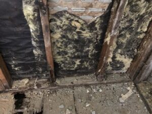 Bathroom Renovation – La Crescenta