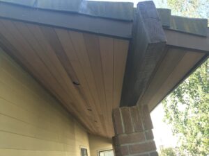Behzad- Exterior home renovation