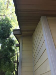 Behzad- Exterior home renovation