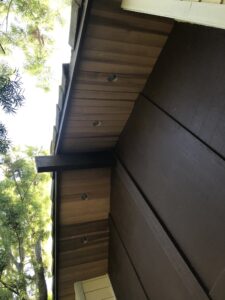 Behzad- Exterior home renovation