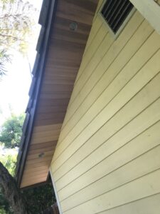 Behzad- Exterior home renovation