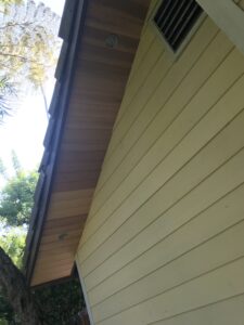 Behzad- Exterior home renovation