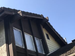 Behzad- Exterior home renovation
