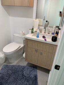 Behzad-3 Bathroom Remodel