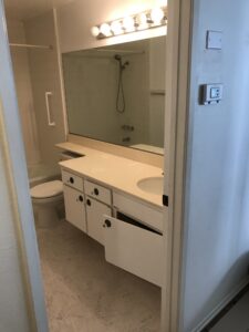 Behzad-3 Bathroom Remodel