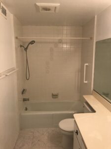 Behzad-3 Bathroom Remodel